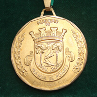 Proteção Civil – Medalha de Ouro da Câmara Municipal de V.N. Poiares